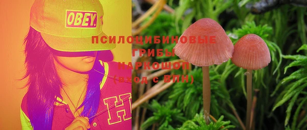 PSILOCYBIN Верхний Тагил